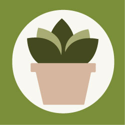 Plant Icon