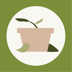 Plant Icon