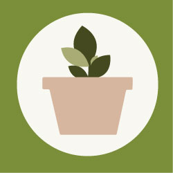 Plant Icon