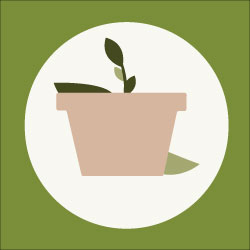 Plant Icon